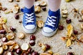 Closeup of feet and shoes of toddler girl picking chestnuts in a park on autumn day. Child having fun with searching