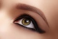 Closeup Female Eye with Dark Make-up, great Shapes Brows. Celebrate Makeup, Luxury Eyeshadows. Fashion Eyeliner, pencil Royalty Free Stock Photo