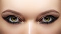 Closeup female eyes with bright make-up, great shapes brows, extreme long eyelashes. Celebrate makeup, luxury eyeshadows Royalty Free Stock Photo