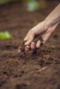 Closeup of female hand holding a handful of rich fertile soil t Royalty Free Stock Photo