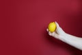 Closeup female hand holding yellow lemon, red background, vitamins concept, healthy lifestyle, nutrition Royalty Free Stock Photo