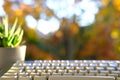 Closeup female hands of elderly woman typing text on computer keyboard in garden, concept of learning to use computer at any age, Royalty Free Stock Photo