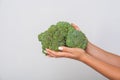 Closeup of female hands holding big green broccoli, fresh raw vegetables, concept of healthy eating and vegetarian diet Royalty Free Stock Photo