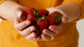 Closeup of female hands holding ripe juicy strawberries.