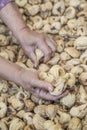 Closeup hands picking dried fig fruits