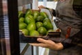 Closeup female kitchen staff hands in apron choosing fresh green avocado from cardboard box