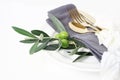 Closeup of festive table summer setting with golden cutlery, olive branch, grey linen napkin, porcelain dinner plate and