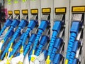 Closeup of fiber optical network cables patch panel