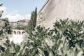 Closeup of fig leaves in public park, selective focus. Blurred old town wall urban background. Palma de Mallorca, Spain Royalty Free Stock Photo
