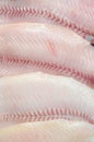 Closeup filleted catfish Royalty Free Stock Photo