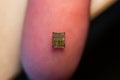 Closeup of a finger holding a microelectronic chip Royalty Free Stock Photo