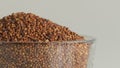 Closeup of finger millet grains