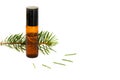 Closeup of fir essential oil in a transparent little bottle with a fir shoot on a white background