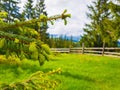 Picturesque spring idyllic scene of the Carpathians, green grass field in front of a wooden cottage surrounded by coniferous