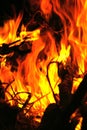 Closeup of fire Royalty Free Stock Photo