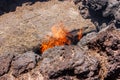 A fire in a crevass caused by extreme heat in the Timanfaya National Park at sunset. Lanzarote, Canary Islands, Spain.