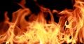 Closeup Fire flame abstract background Royalty Free Stock Photo