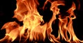 Closeup Fire flame abstract background