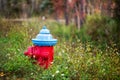 Closeup of a fire hydrant in a field with flowers Royalty Free Stock Photo