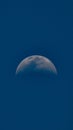 Closeup of the first quarter of the moon in the blue night sky Royalty Free Stock Photo