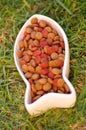 Closeup fish shaped white bowl with fresh dog food sitting on green grass, animal nutrition concept Royalty Free Stock Photo