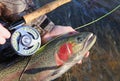 Fly fisherman holding large steelhead trout and rod