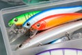 Closeup of a fishing box with colorful lures. Royalty Free Stock Photo