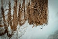 Closeup Fishing net with with cement wall background