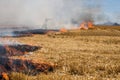 Closeup of Flames Burning Wheat Stubble Royalty Free Stock Photo