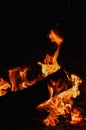 Closeup of the flames of a magnificent campfire  in the darkness of the night Royalty Free Stock Photo