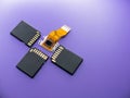 Closeup flat lay of a digital camera Ccd sensor and black SD cards on a purple background Royalty Free Stock Photo