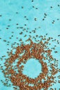 Closeup flax seeds on a blue background. Selective focus.