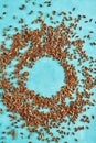 Closeup flax seeds on a blue background. Selective focus.