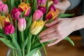 closeup of florists hands arranging tulips in a vase Royalty Free Stock Photo