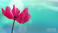 Closeup of flower on bokeh blue background. Beautiful template for cards or banners design. Vector