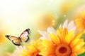 Closeup flower and butterfly. Summer nature background.