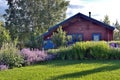 Closeup flower garden with perennials and purple flowers in front of the house Royalty Free Stock Photo