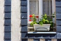 Flower pot placed at the window of old brittany house