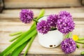 Closeup of flowering chives with shallow depth of field and focus concentrated on flower in the foreground Royalty Free Stock Photo