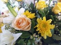 Closeup flowers bouquet background. With pastel roses, yellow chrysanthemum, and white tulips. Natural floral. Royalty Free Stock Photo