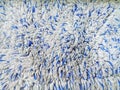 Closeup of a fluffy soft blue and white carpet textu