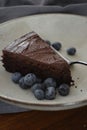 Closeup fo a piece of delicious chocolate cake with blueberries on a plate Royalty Free Stock Photo