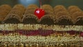 Closeup focus in at half of modern shaped chocolate cake with cherry interlayer