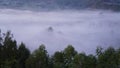 Closeup of fog on mountainside. Negeri di atas awan (Country above the clouds) concept