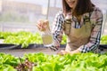 Closeup of foggy water spray bottle in female farmer hand spraying to sprout hydroponics vegetable in greenhouse nursery Royalty Free Stock Photo