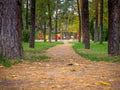 Closeup of a foot path going to the public colorful kids playground and rope park with people Royalty Free Stock Photo