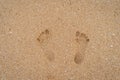 Closeup of footprints in the sand on the beach in sunny time. The symbol of relaxation and slowlife.