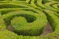 Closeup of formal knot garden Royalty Free Stock Photo