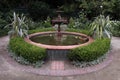 Closeup of fountain with orange goldfish and murky water Royalty Free Stock Photo