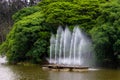 Closeup of a fountain on a river against the background of a dense tree